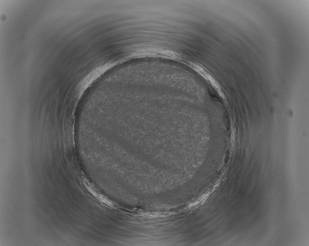 X0000085080877200704021434