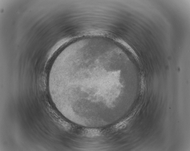 X0000085080878200704021434