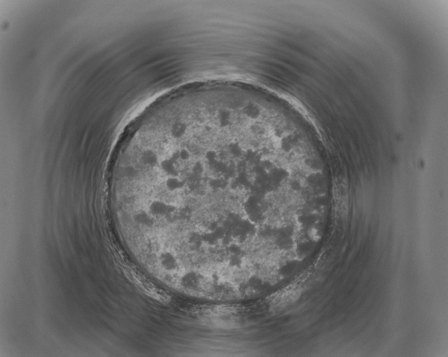 X0000085080879200704021434