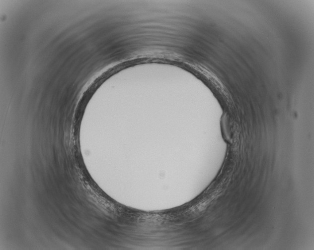 X0000085080880200704021434