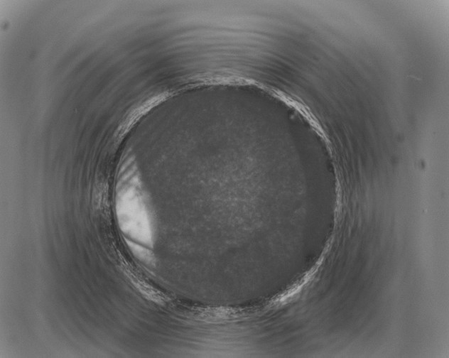 X0000085080881200704021434