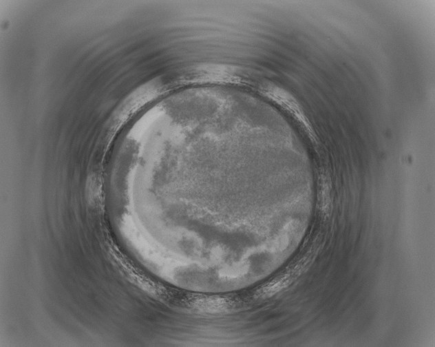 X0000085080882200704021434