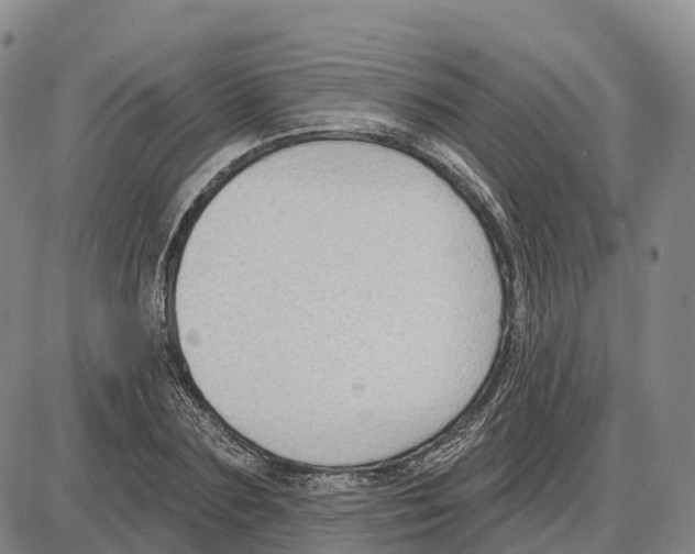 X0000085080883200704021434