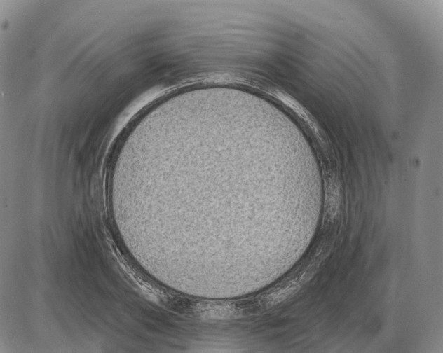 X0000085080886200704021434