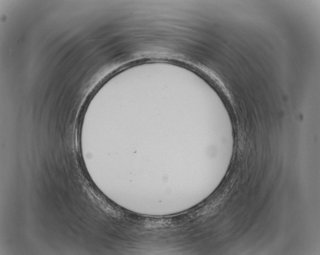 X0000085080887200704021434