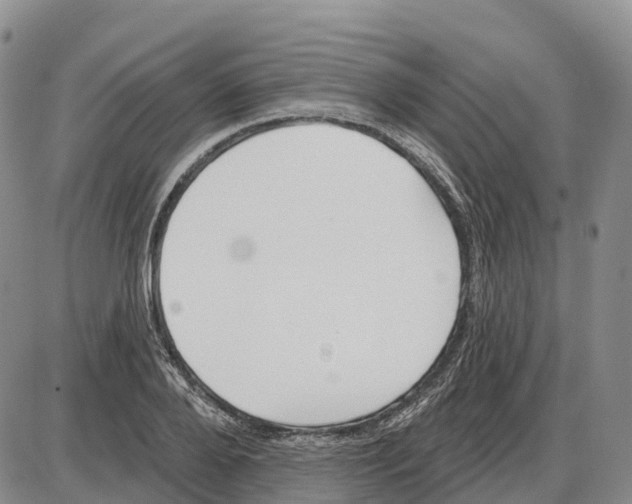 X0000085080888200704021434