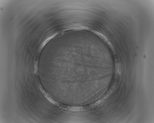 X0000085080889200704021434