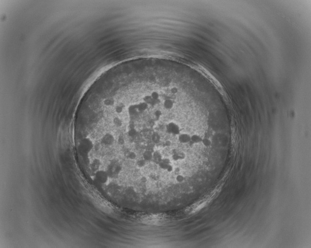 X0000085080891200704021434