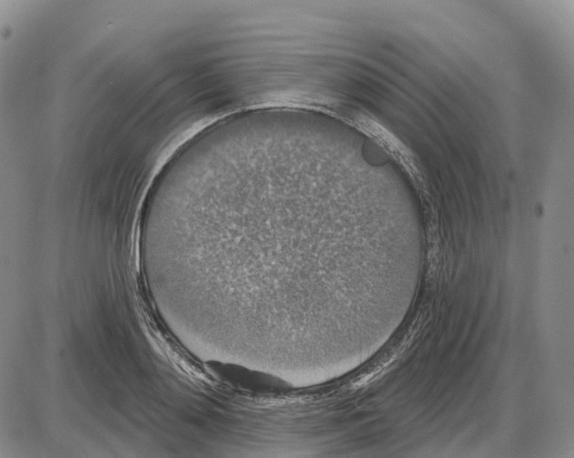 X0000085080892200704021434