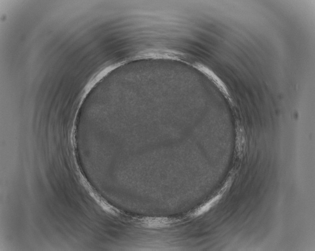 X0000085080893200704021434