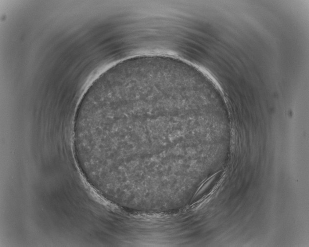 X0000085080895200704021434