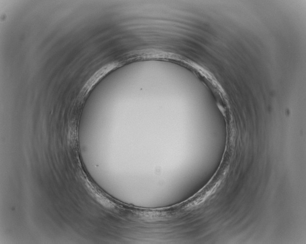 X0000085080897200704021434