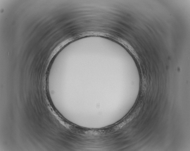 X0000085080898200704021434