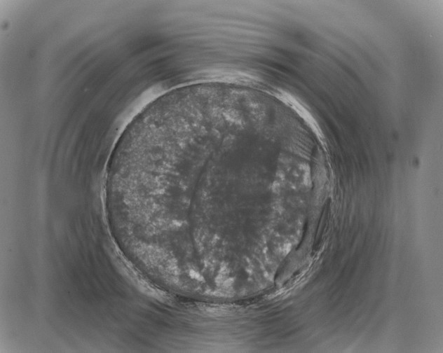 X0000085080899200704021434