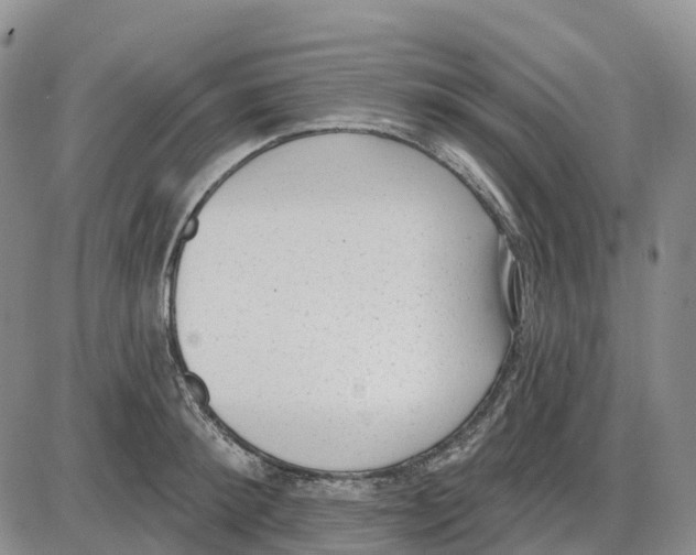 X0000085080900200704021433