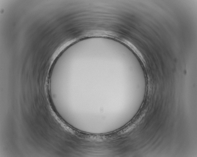 X0000085080901200704021433