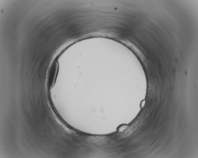 X0000085080902200704021433