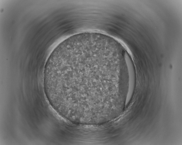 X0000085080903200704021433