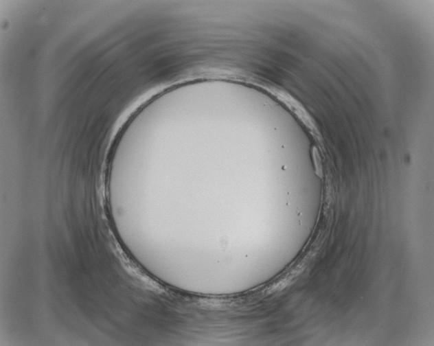 X0000085080904200704021433