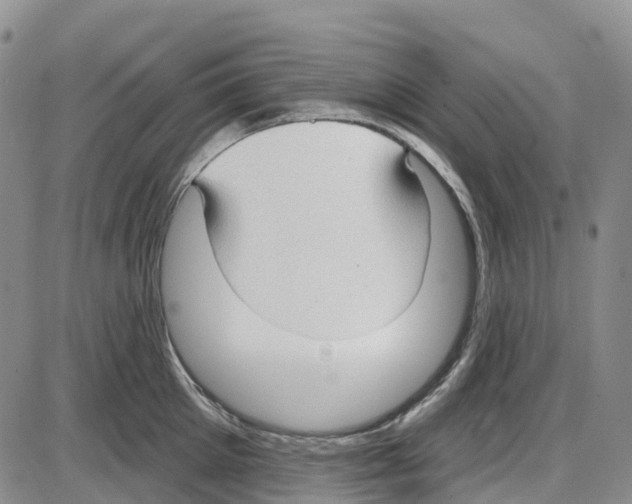 X0000085080905200704021433