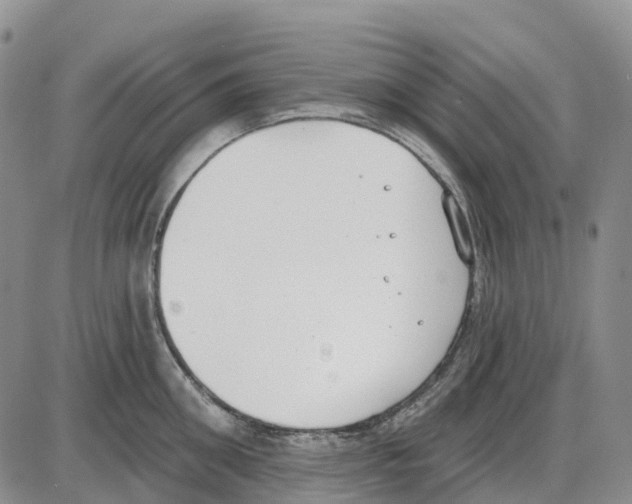 X0000085080906200704021433