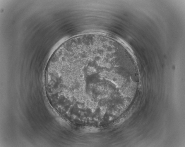 X0000085080907200704021433