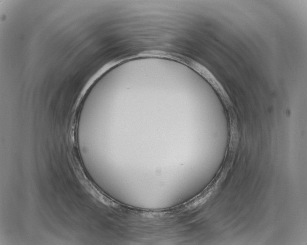 X0000085080908200704021433