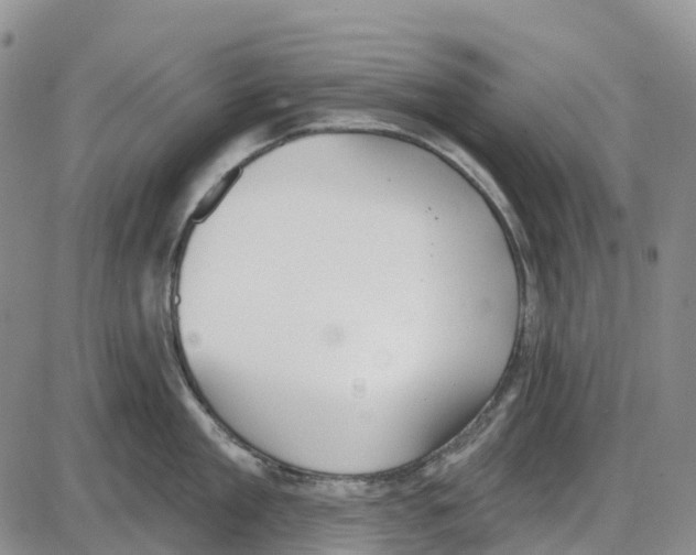 X0000085080909200704021433