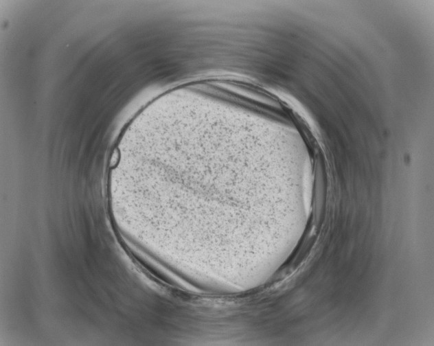 X0000085080910200704021433