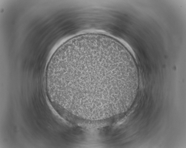 X0000085080911200704021433