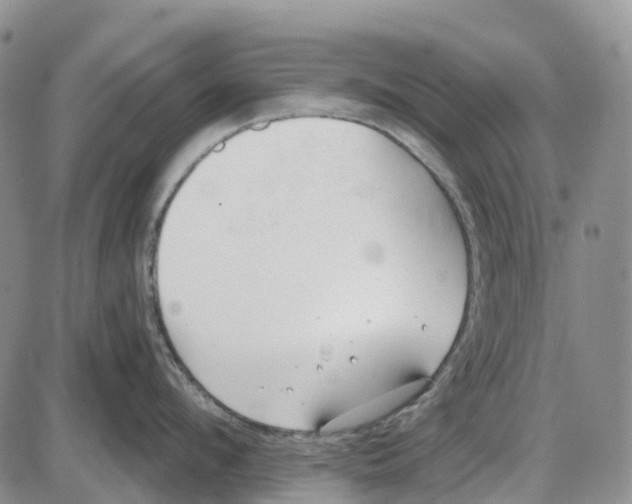 X0000085080912200704021433