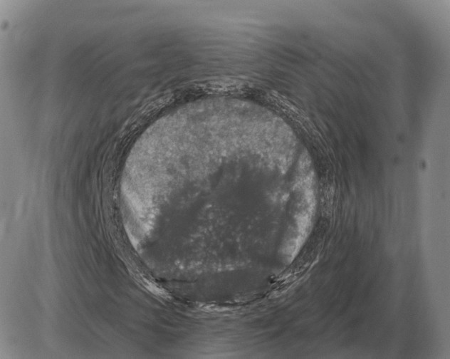 X0000085080913200704021432