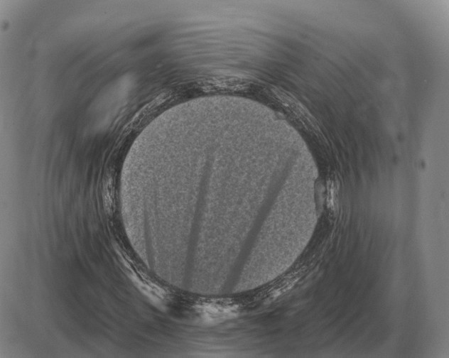 X0000085080915200704021433