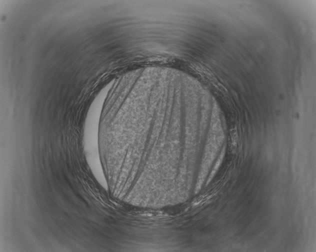 X0000085080916200704021433