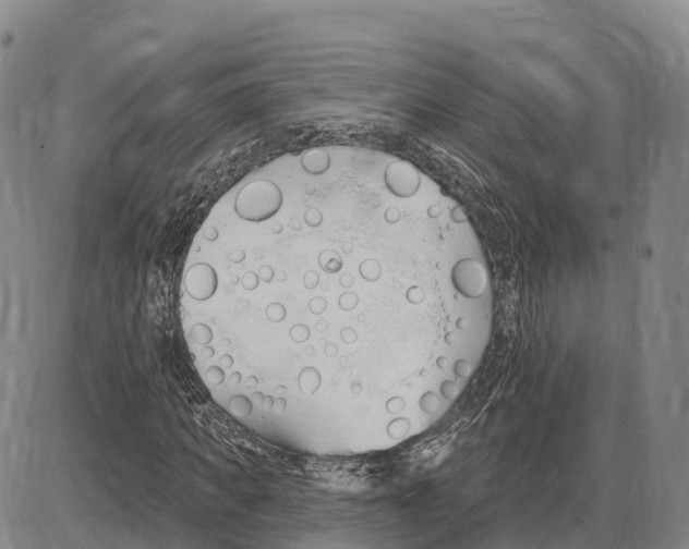 X0000085080917200704021433