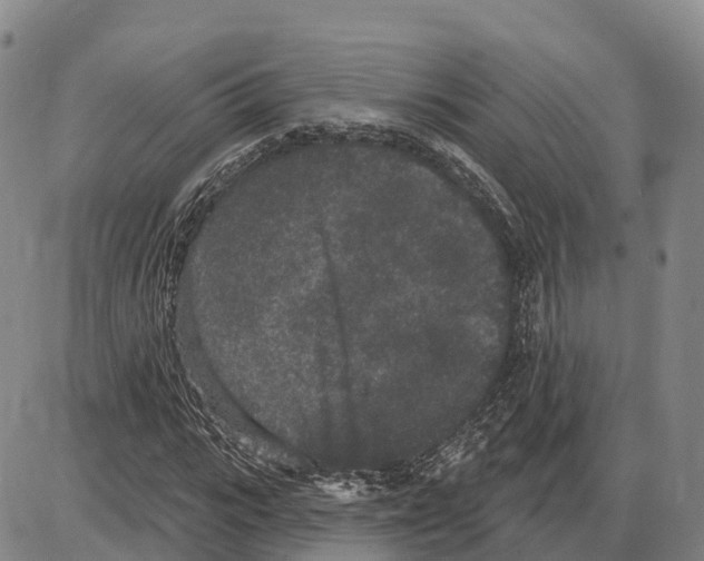 X0000085080919200704021433