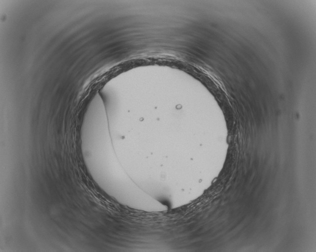 X0000085080920200704021433