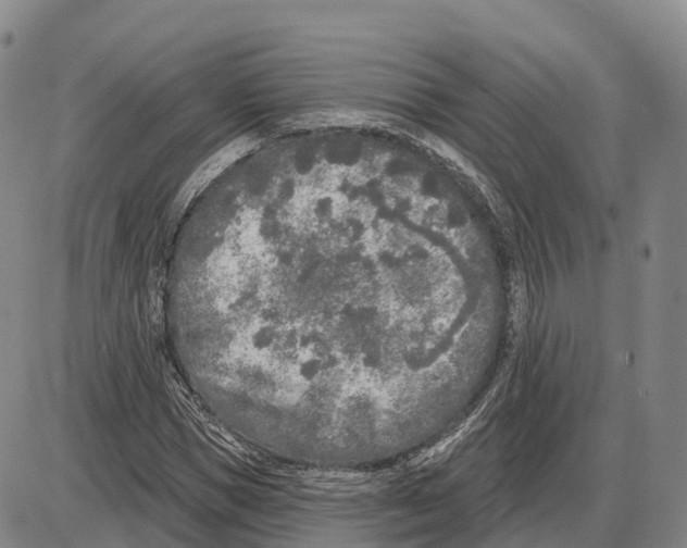 X0000085080921200704021433