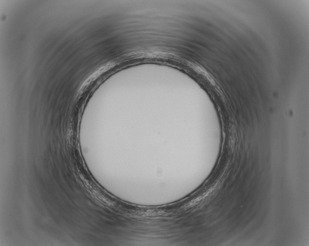 X0000085080922200704021433