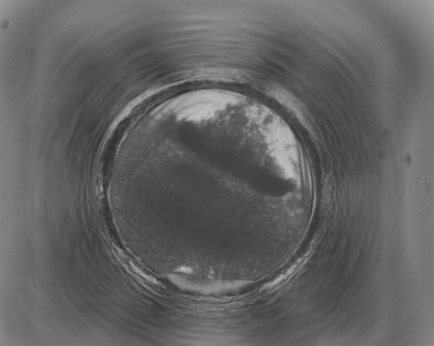 X0000085080923200704021433