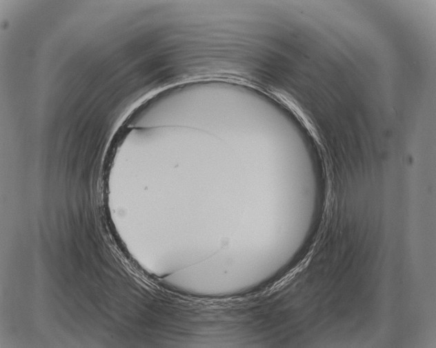 X0000085080924200704021433