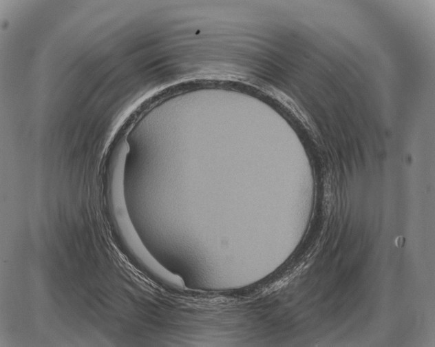 X0000085080926200704021433