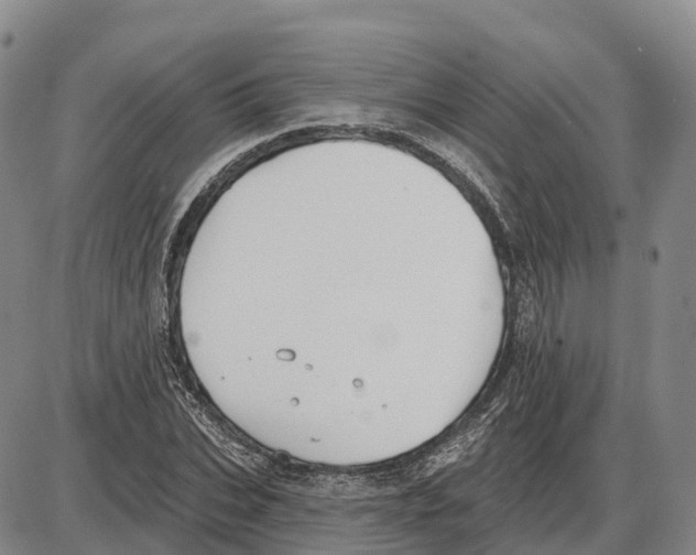 X0000085080927200704021433