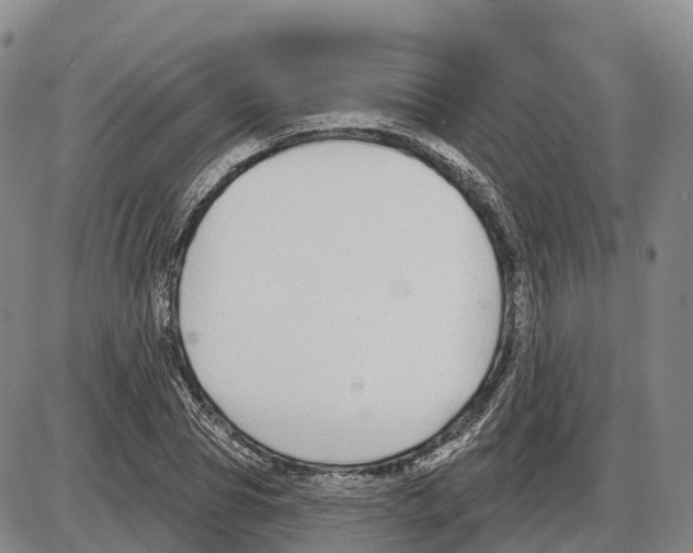 X0000085080929200704021433