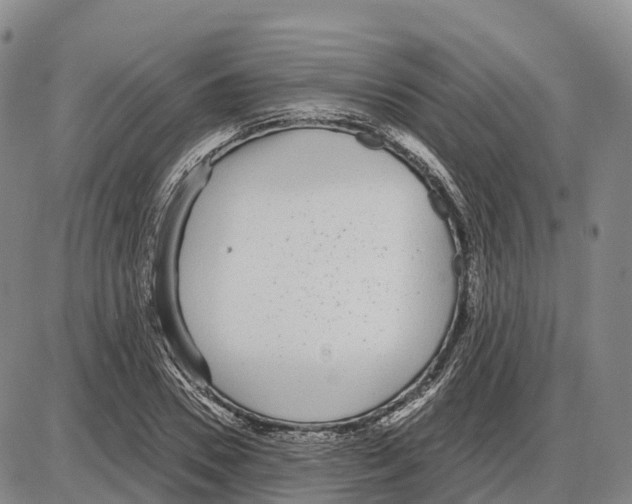 X0000085080930200704021433