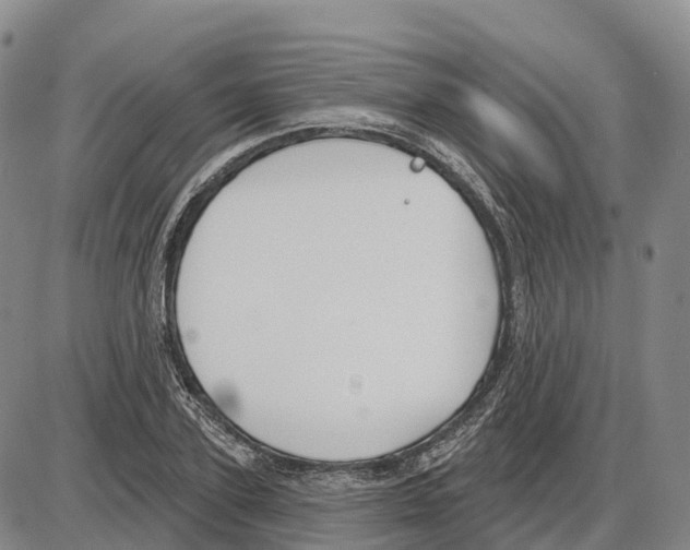 X0000085080931200704021433