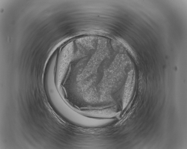 X0000085080932200704021433