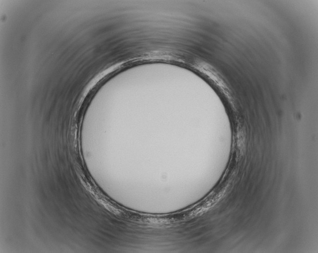 X0000085080933200704021433