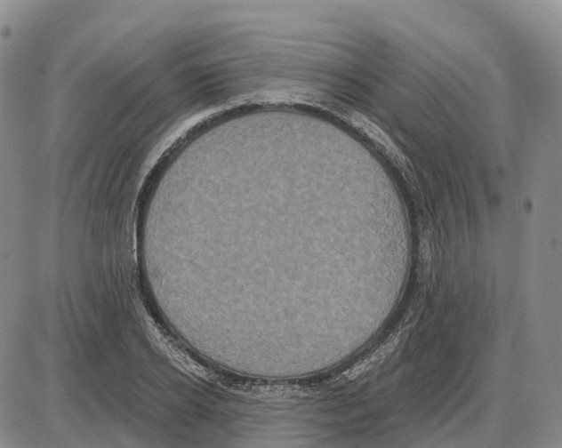 X0000085080934200704021433