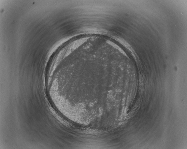 X0000085080935200704021433